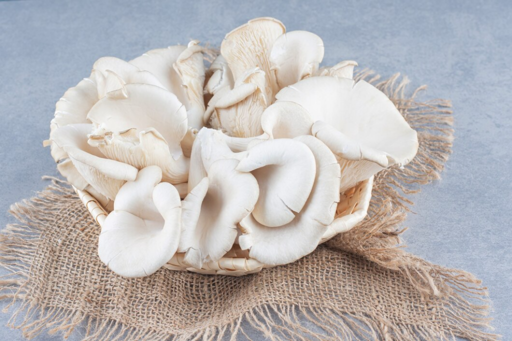 basket-full-oyster-mushroom-sack